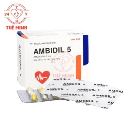 Ambidil 5 Bidiphar - Thuốc điều trị tăng huyết áp