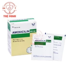 Amoxicilin 250mg Bidiphar (bột) - Thuốc điều trị nhiễm khuẩn