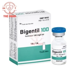Bigentil 100 Bidiphar - Thuốc điều trị nhiễm khuẩn