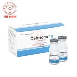Ceftrione 1g Bidiphar - Thuốc điều trị nhiễm khuẩn