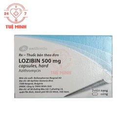 Lozibin 500mg Balkanpharma - Thuốc điều trị nhiễm khuẩn dạng viên nang