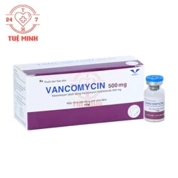 Vancomycin 500mg Bidiphar - Thuốc điều trị nhiễm khuẩn