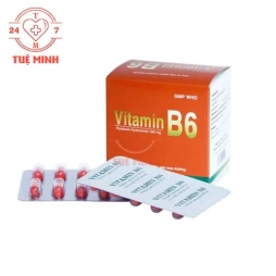 Vitamin B6 100mg Bidiphar - Thuốc điều trị thiếu hụt vitamin B6 do thuốc gây nên