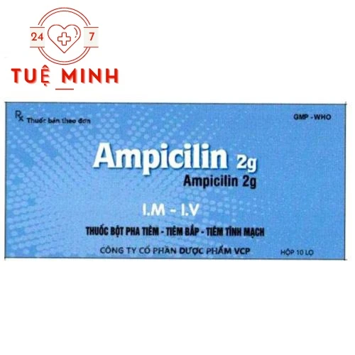 Ampicilin 2g VCP - Thuốc điều trị nhiễm khuẩn hiệu quả