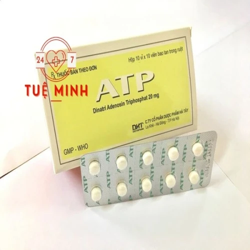 A.t.p 20mg (hà tây)