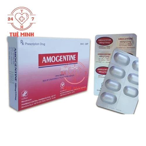 Amogentine 500mg/125mg
