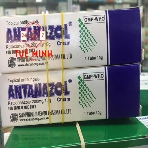 Antanazol cream 10g (10 hộp)