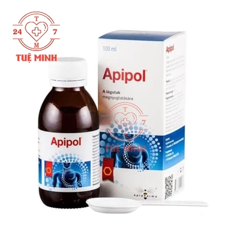 Apipol