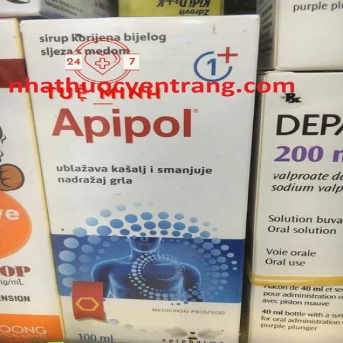 Apipol