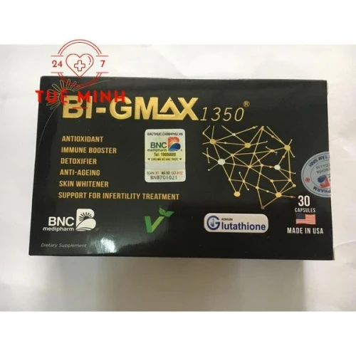 Bi-gmax 1350