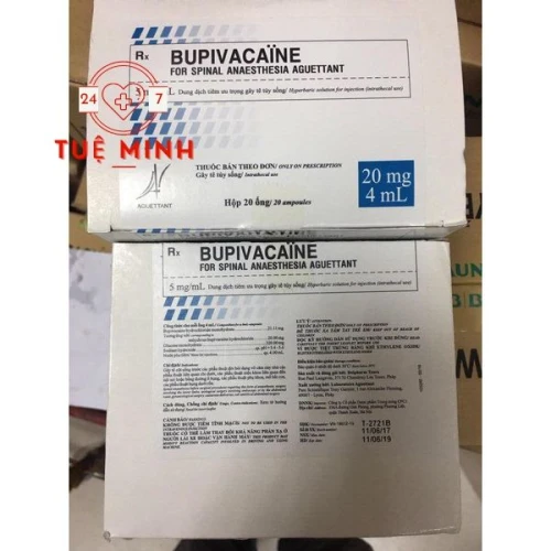 Bupivacaine 20mg/4ml