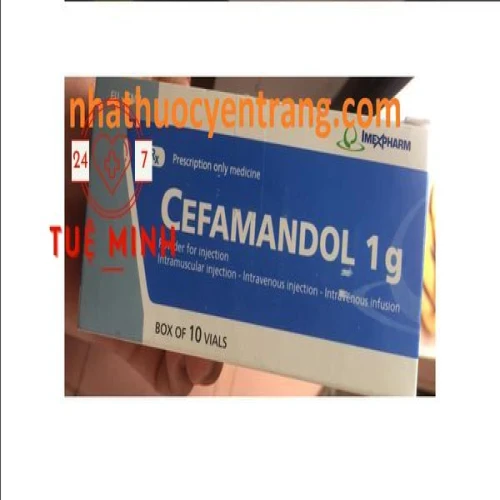 Cefamandol 1g