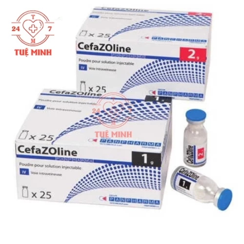 Cefazoline panpharma 1g