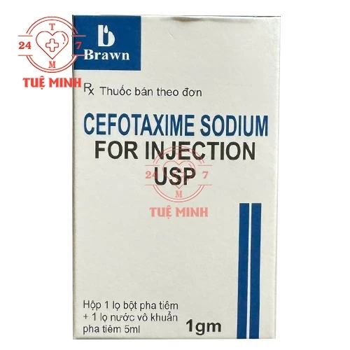 Cefotaxime 1g Brawn