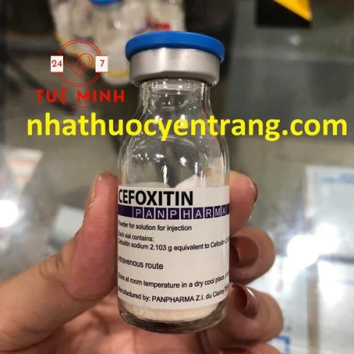 Cefoxitin 2g panpharma