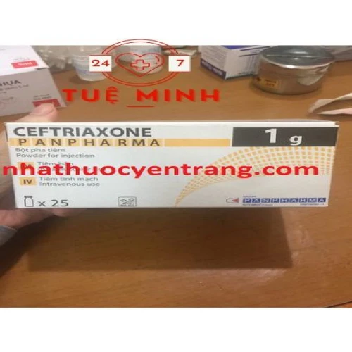 Ceftriaxone panpharma