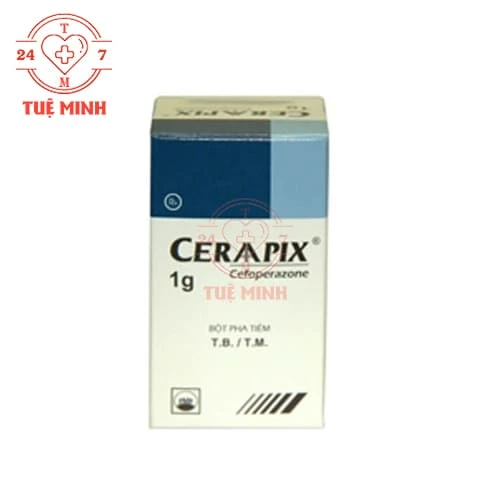 Ceraapix 1g Pymepharco - Thuốc điều trị nhiễm khuẩn