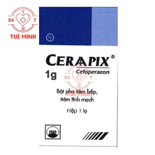 Ceraapix 1g Pymepharco - Thuốc điều trị nhiễm khuẩn