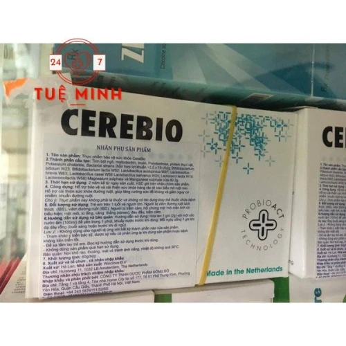 Cerebio