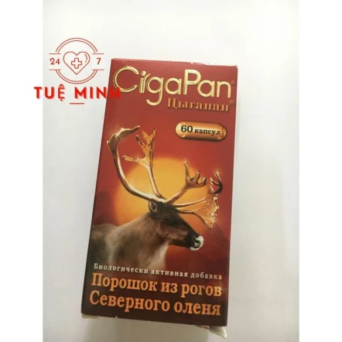 Cigapan  lọ 60 viên