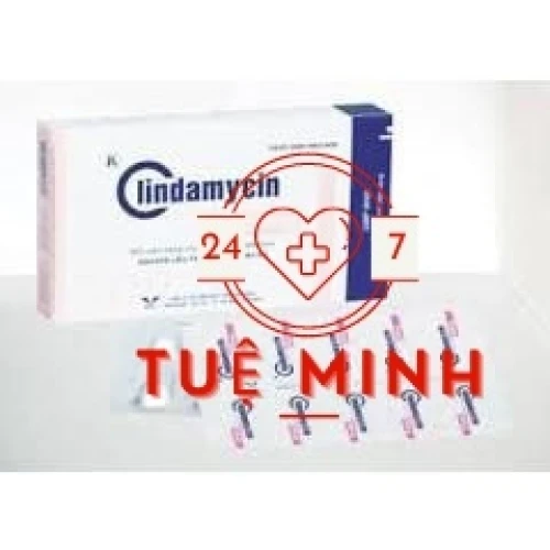 Clindamycin 300mg