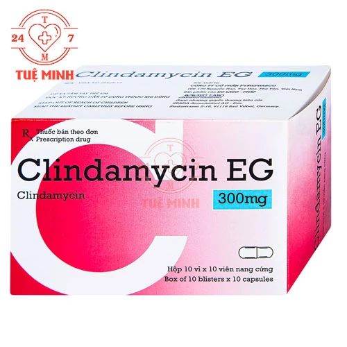 Clindamycin EG 300mg Pymepharco - Thuốc điều trị nhiễm khuẩn hiệu quả