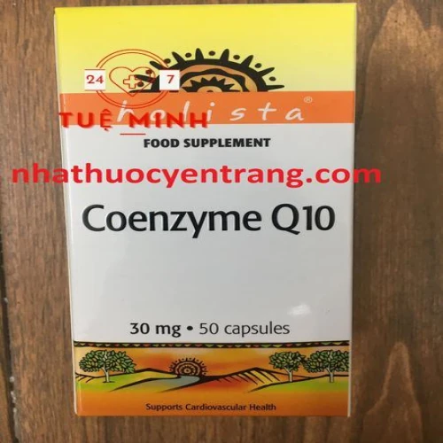 Coenzyme q10 holista