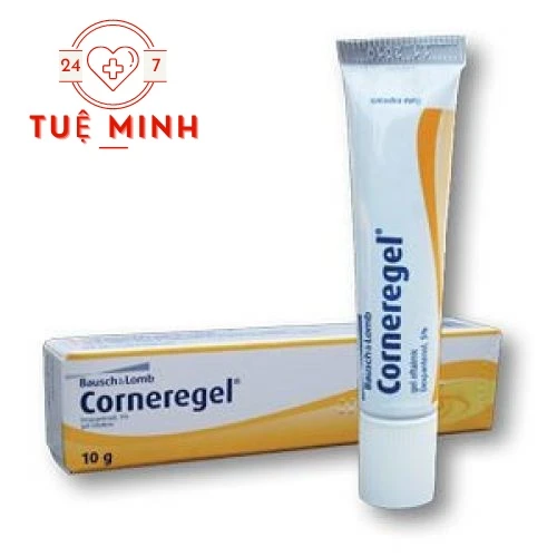 Corneregel - Thuốc phục hồi tổn thương ngoài da của Đức