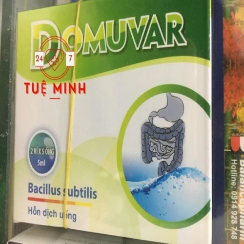 Domuvar (10 ống)