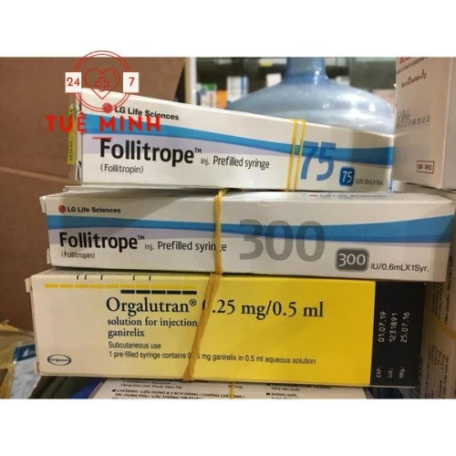 Follitrope 300 iu