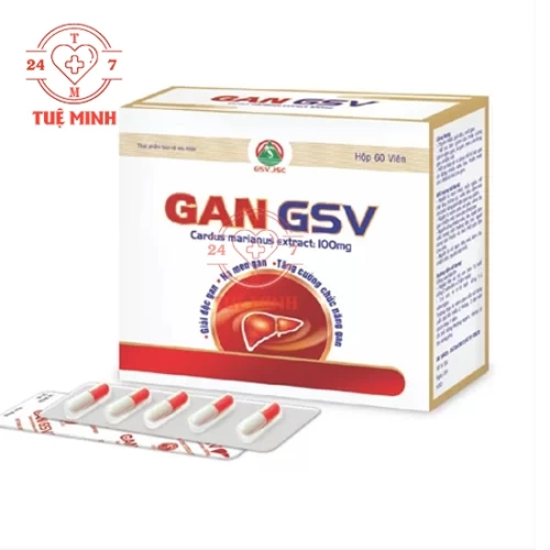 Gan gsv