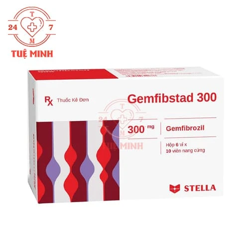 Gemfibstad 300mg Stellapharm - Điều trị chứng rối loạn lipid máu