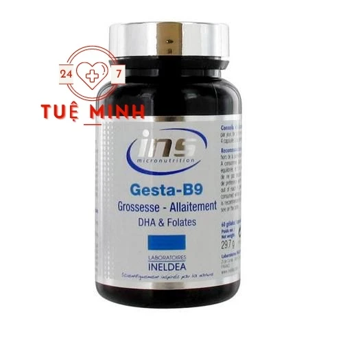 Gesta b9