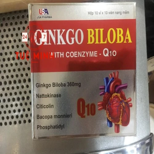 Ginkgo biloba 360mg with coenzyme q10
