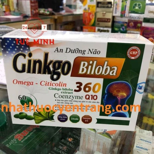 Ginkgo biloba omega citicolin