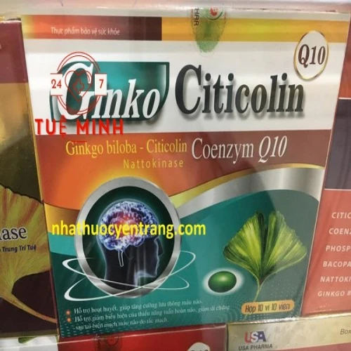 Ginko citicolin