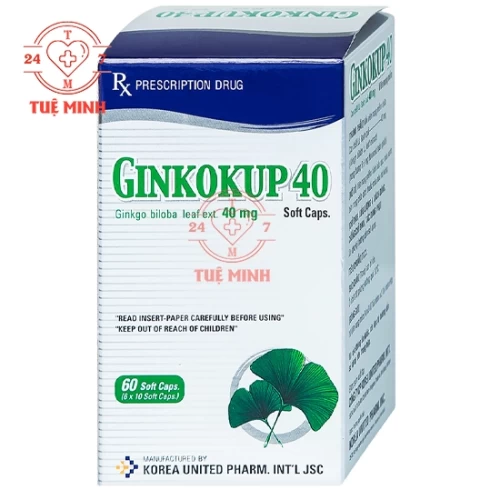Ginkokup 40mg