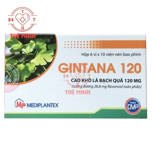Gintana 120mg