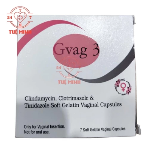 Viên đặt gvag 3