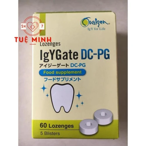 Igygate dc-pg