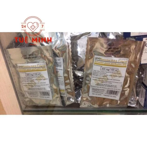Levofloxacino g.e.s 5mg/ml