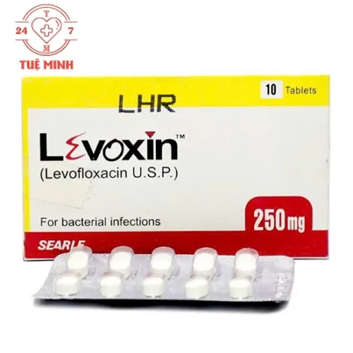 Levoxin 250mg - Thuốc chống nhiễm khuẩn của Searle