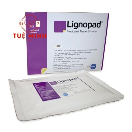 Lignopad medicated plaster 5%