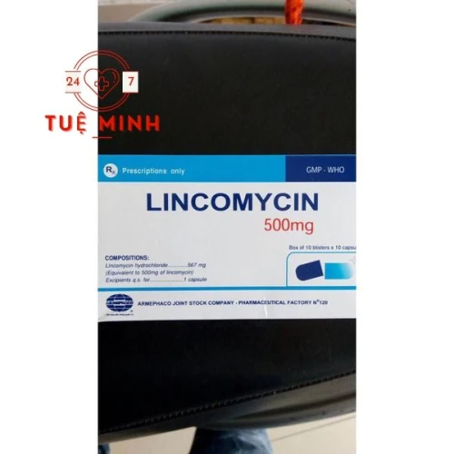 Lincomycin 500mg armephaco