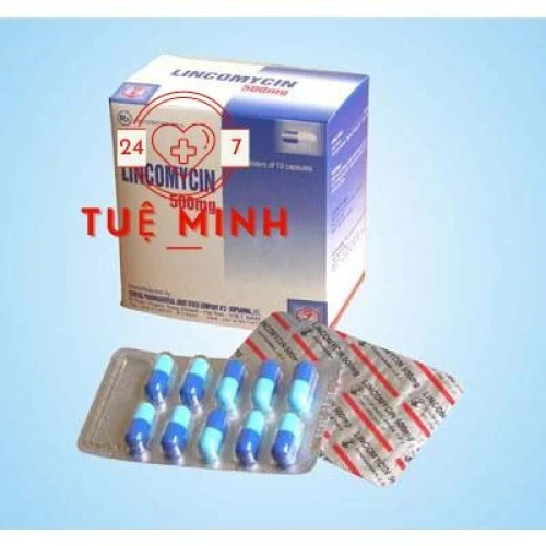 Lincomycin 500mg