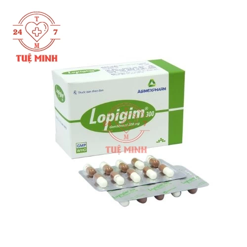 Lopigim 300 Agimexpharm