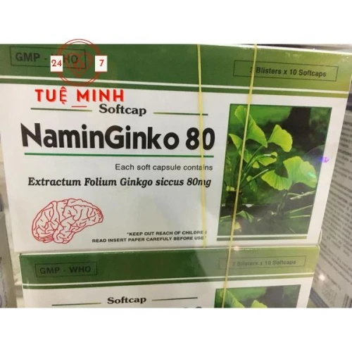 Naminginko 80mg