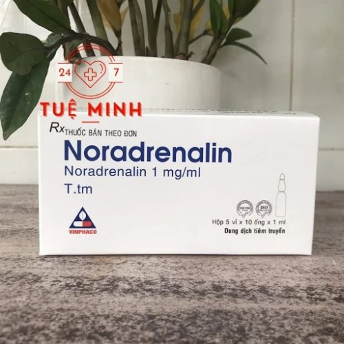 Noradrenalin 1ml vĩnh phúc