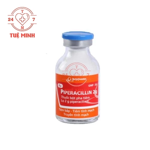 Piperacillin 2g Imexpharm