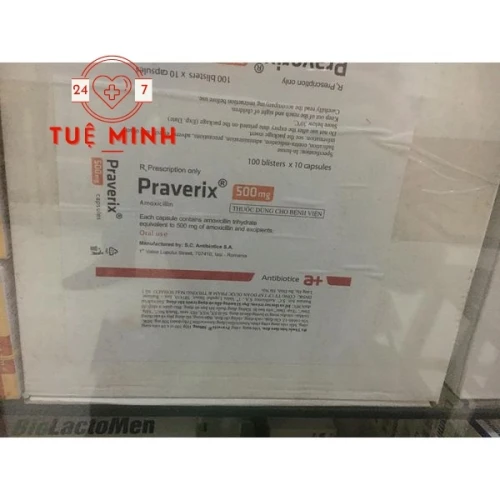 Praverix 500mg
